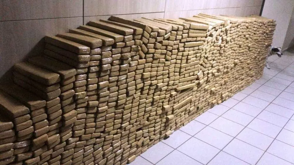 PM apreende 48 toneladas de maconha na Maré, recorde no país