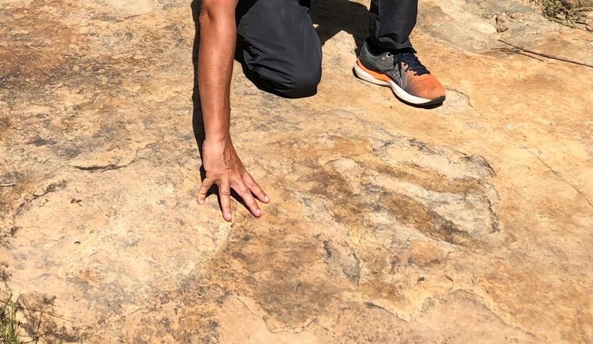 Maior pegada de dinossauro do Brasil é encontrada em Sousa