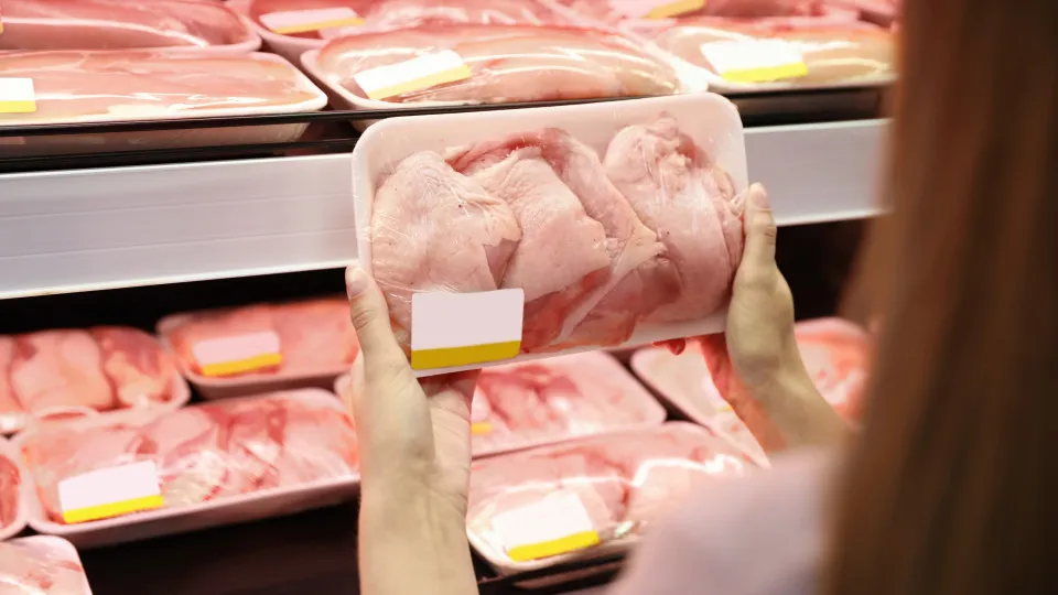 Exportação de frango e mel à UE pode ser retomada em breve