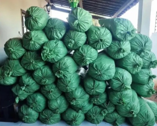 Homem é preso com cerca de 430 kg de maconha durante operação da PM em Sumé