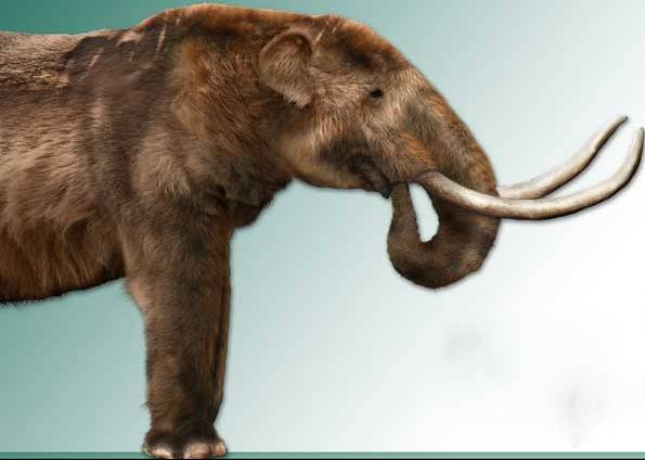 Notícias do Passado: O mastodonte que foi encontrado em Caiçara