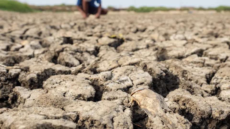 El Niño já começou e pode intensificar eventos climáticos extremos