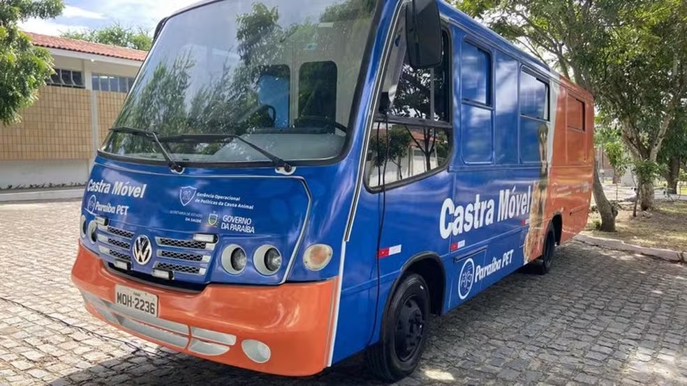 Castra+ Paraíba oferece 430 vagas gratuitas para pets